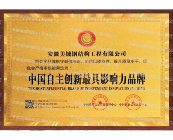 中國自主創(chuàng)新最具影響力品牌